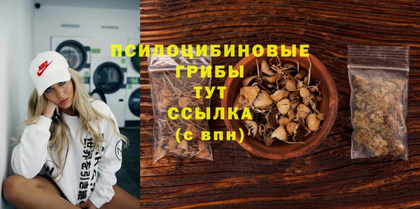 спиды Переславль-Залесский