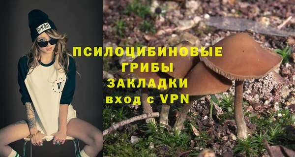 jwh Пересвет