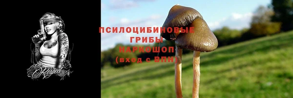 jwh Пересвет