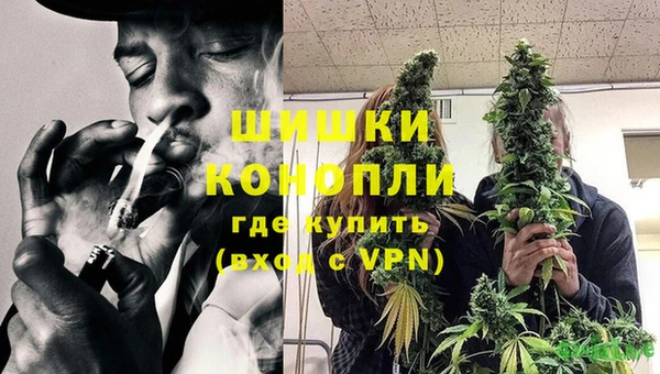 jwh Пересвет