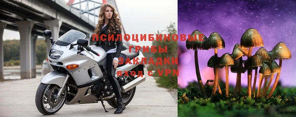 ALPHA-PVP Покачи