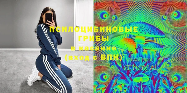 мет Пестово