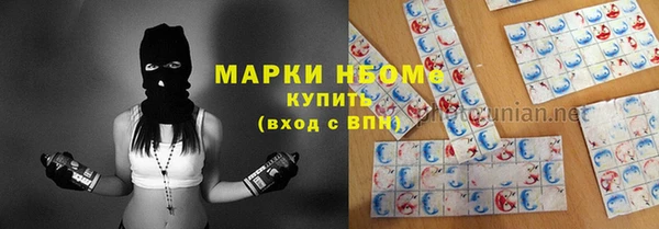 jwh Пересвет
