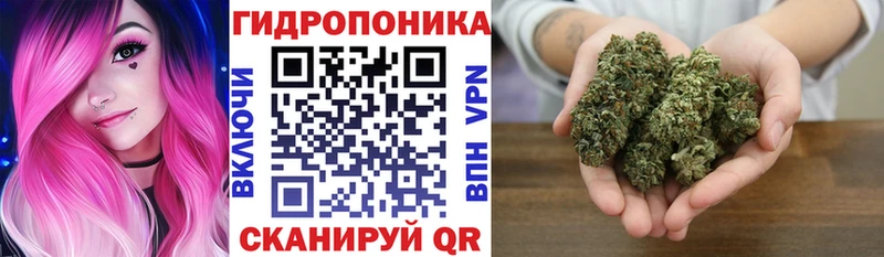 Купить где  Тюмень  Бошки Шишки сатива 